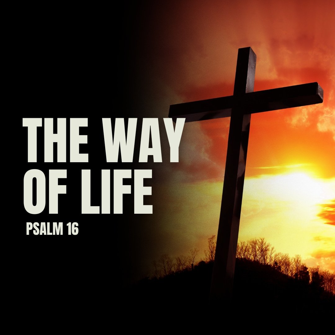 The Way of Life