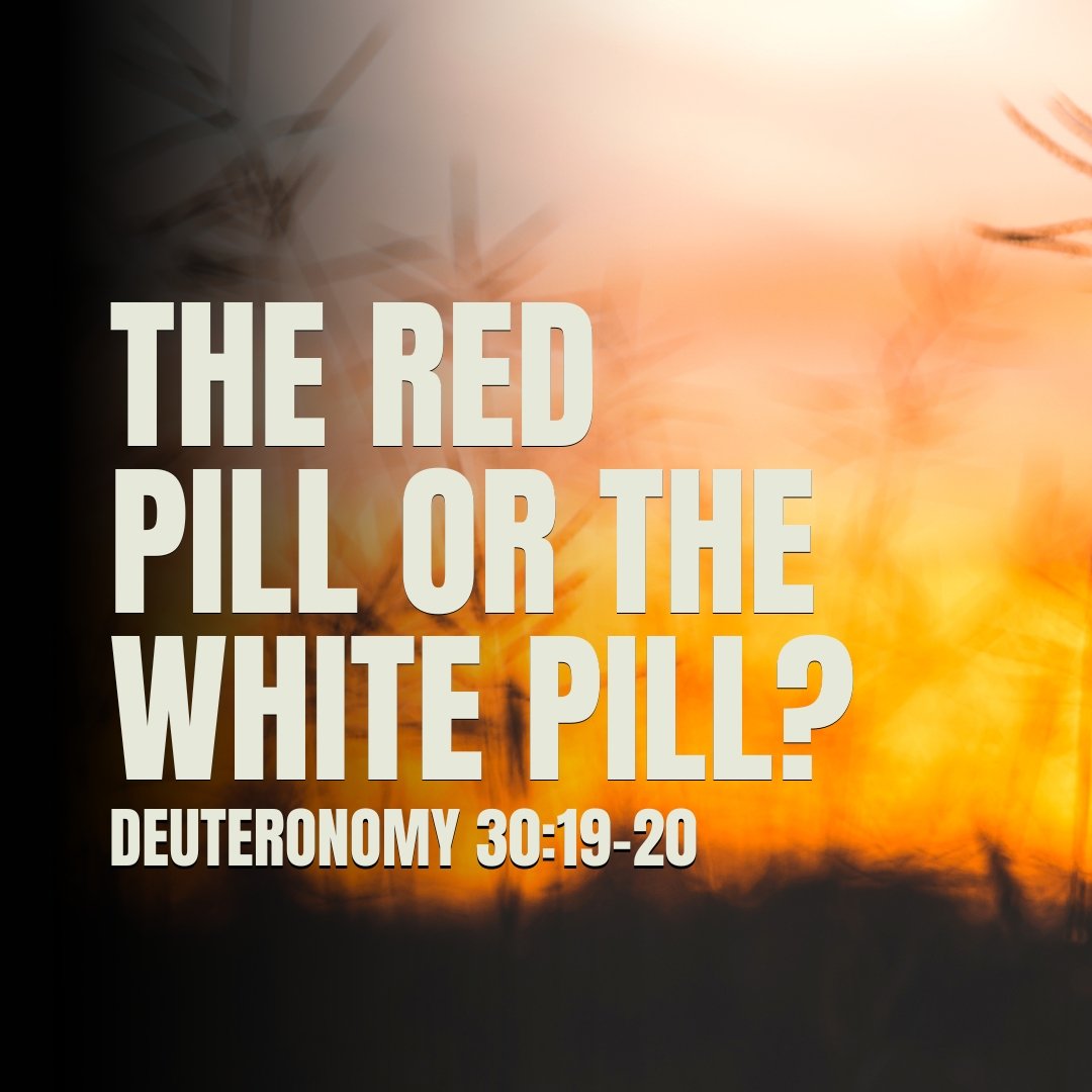 The red pill or the white pill?